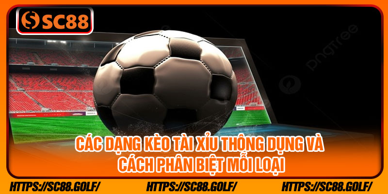 Các dạng Kèo tài xỉu thông dụng và cách phân biệt mỗi loại