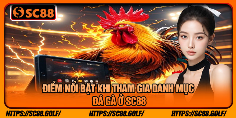 Điểm Nổi Bật Khi Tham Gia Danh Mục Đá Gà Ở SC88