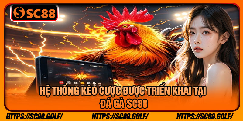 Hệ Thống Kèo Cược Được Triển Khai Tại Đá Gà SC88