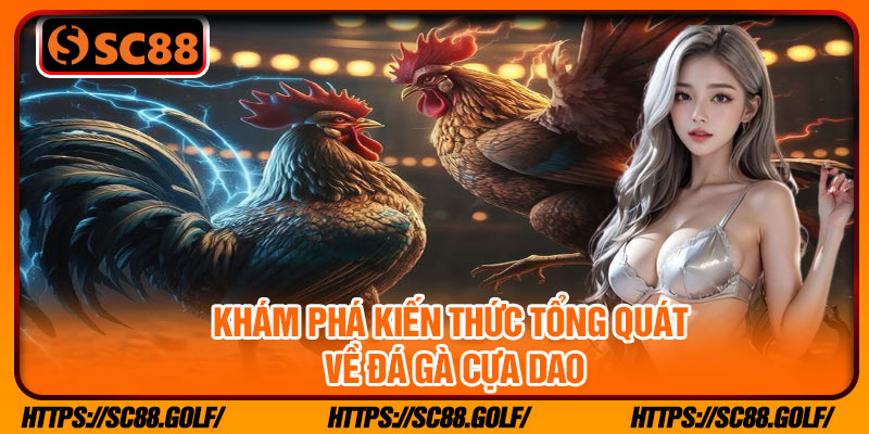 Khám phá kiến thức tổng quát về đá gà cựa dao