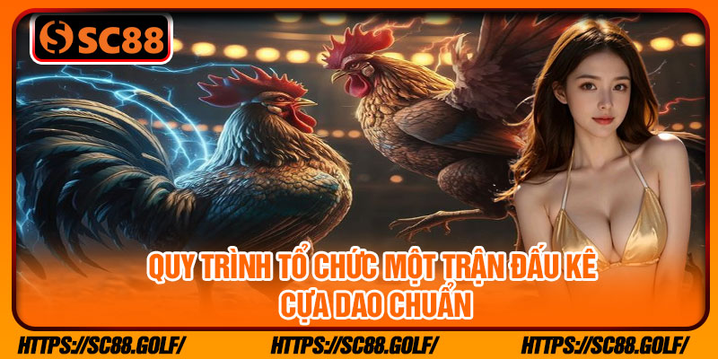 Quy trình tổ chức một trận đấu kê cựa dao chuẩn