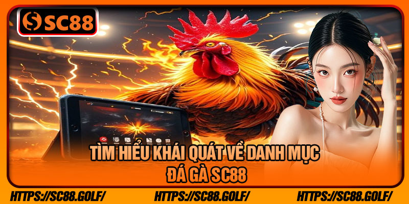 Tìm Hiểu Khái quát Về Danh Mục Đá Gà SC88