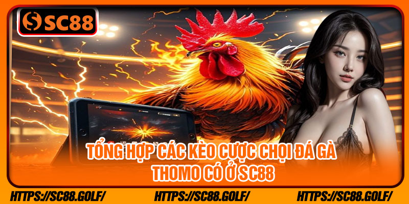 Tổng hợp các kèo cược chọi đá gà Thomo có ở SC88