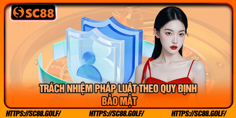 Trách Nhiệm Pháp Luật Theo Quy Định Bảo Mật